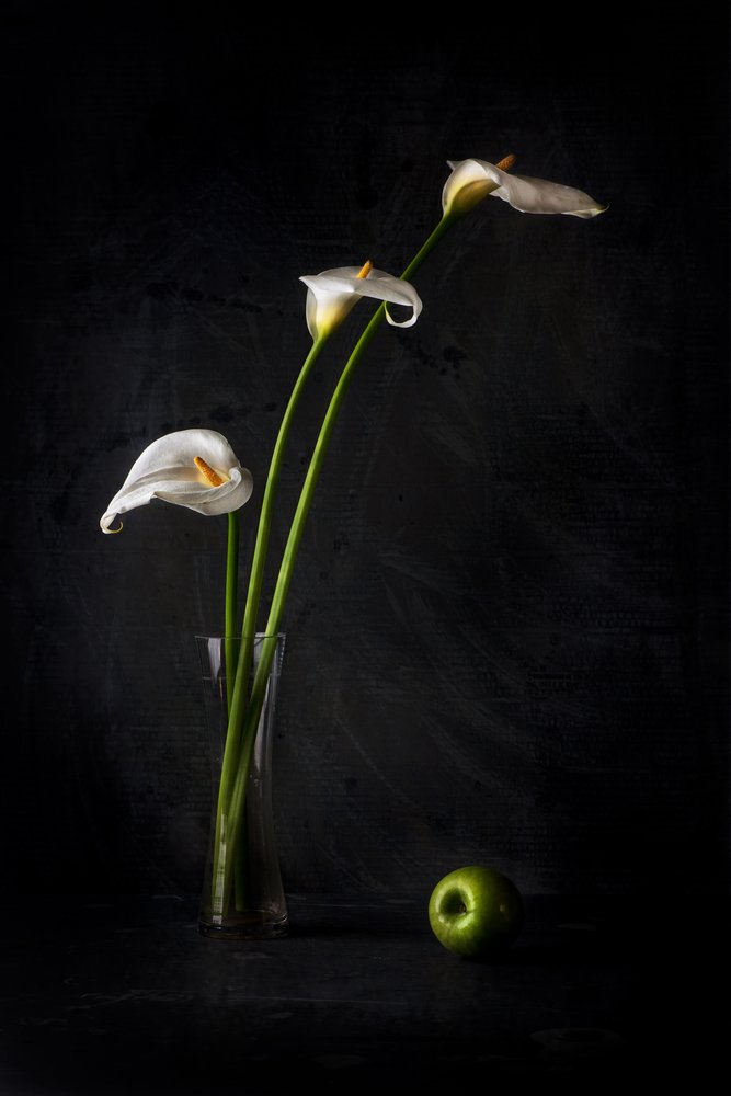  tekijältä Felice Angelino