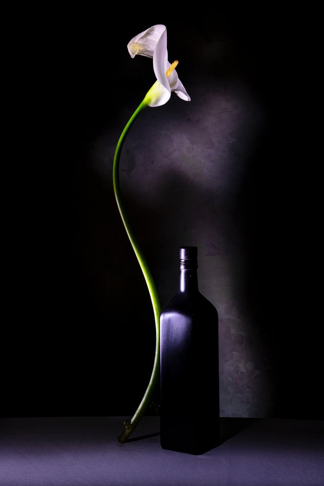  tekijältä Felice Angelino