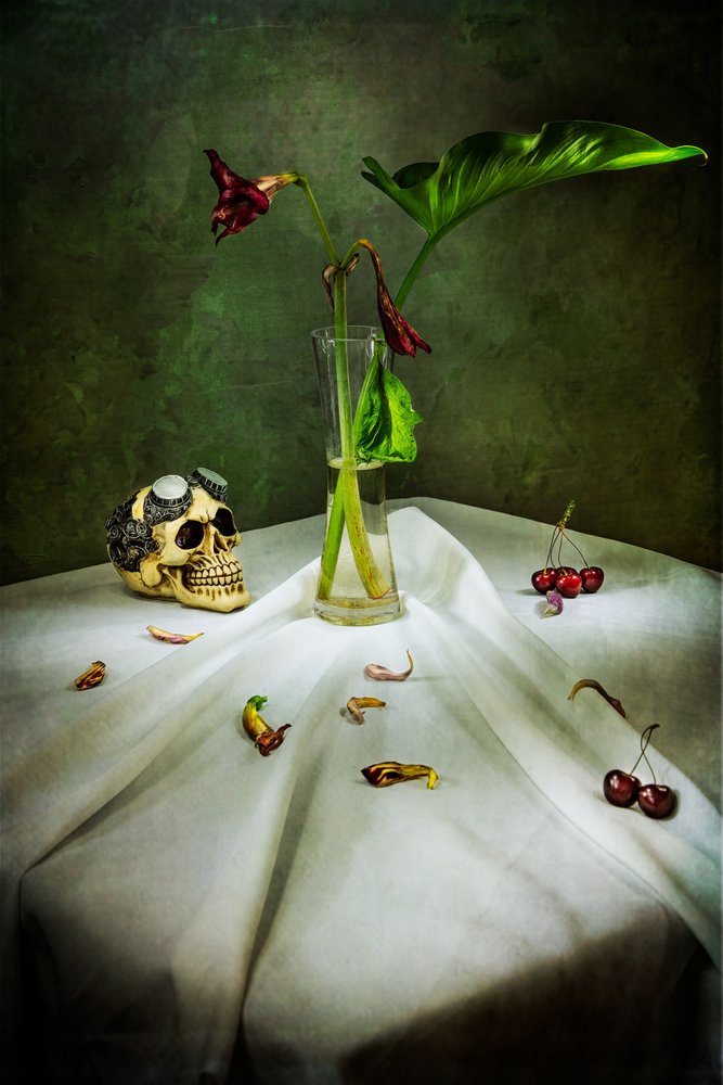 Gothic Skull Vanitas tekijältä Felice Angelino