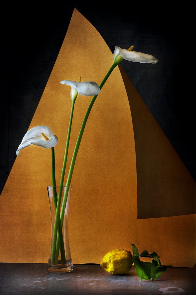  tekijältä Felice Angelino
