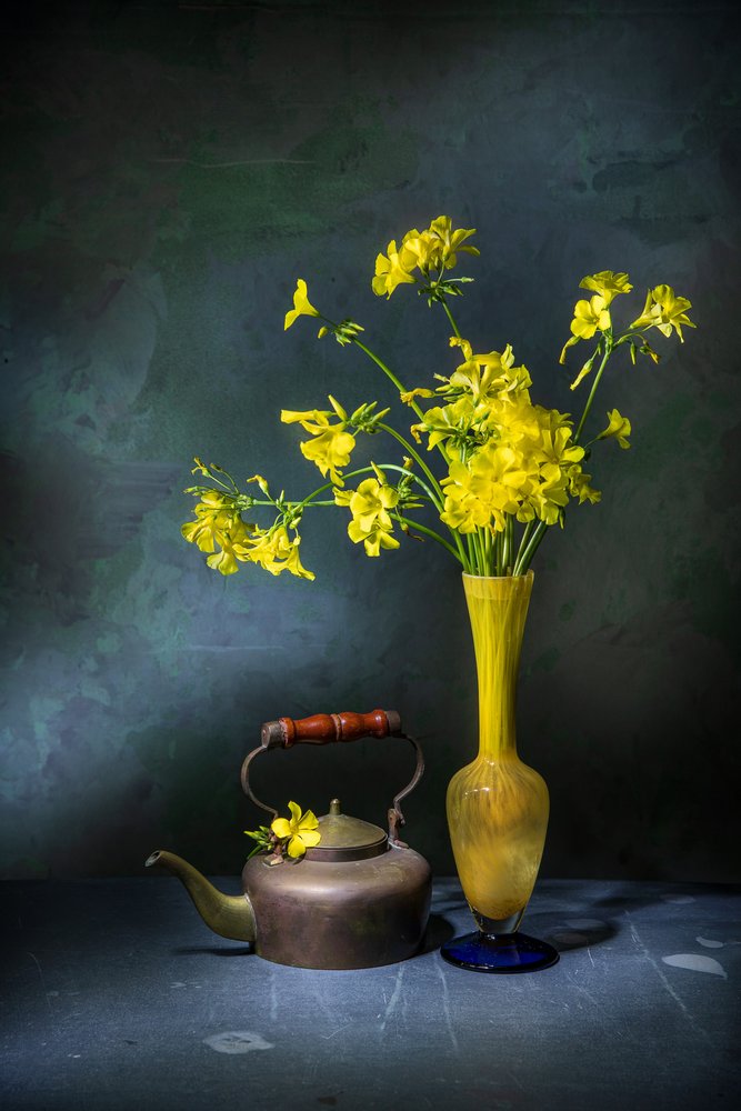  tekijältä Felice Angelino