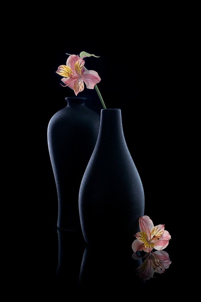 Elegantti alstroemeria maljakossa tekijältä GaoSL