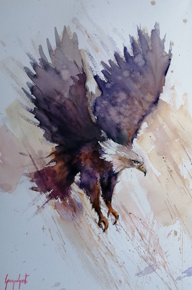 Dynamic Eagle -lento tekijältä Giorgio Gosti