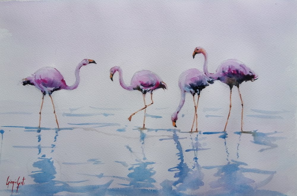 Vaaleanpunaiset flamingot kahlaamassa tekijältä Giorgio Gosti