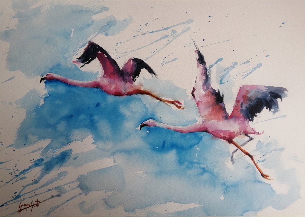 Värikäs flamingojen lento tekijältä Giorgio Gosti