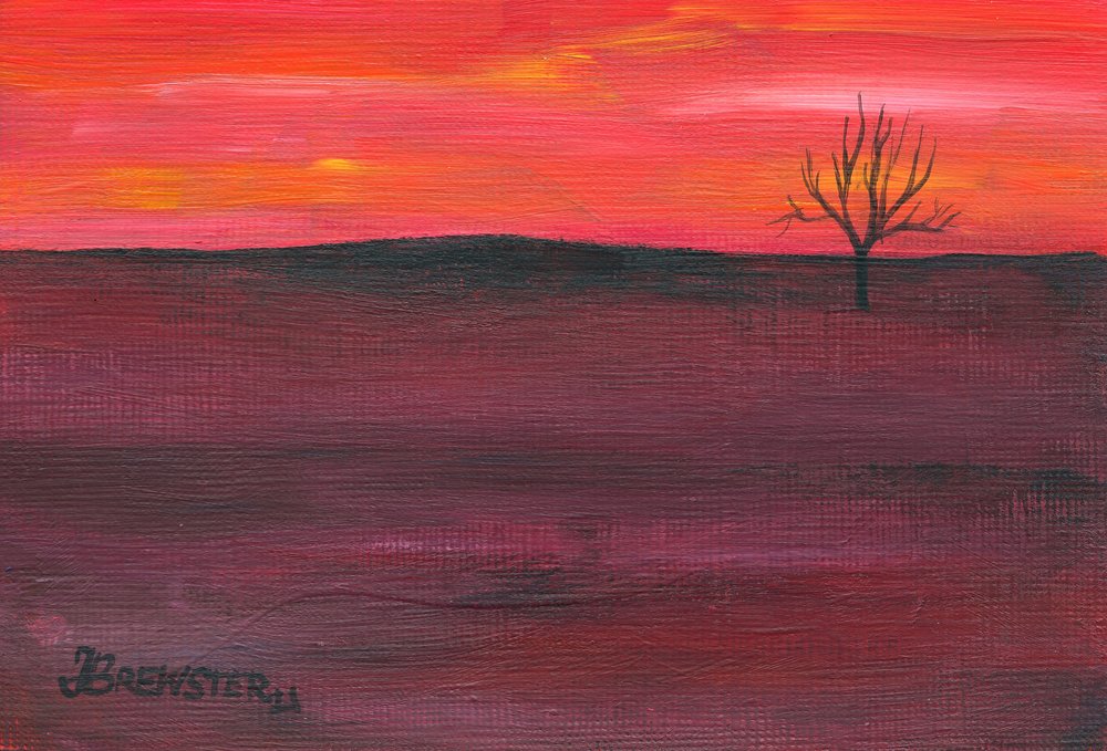 Yksinäinen auringonlaskun puu tekijältä Janine Brewster