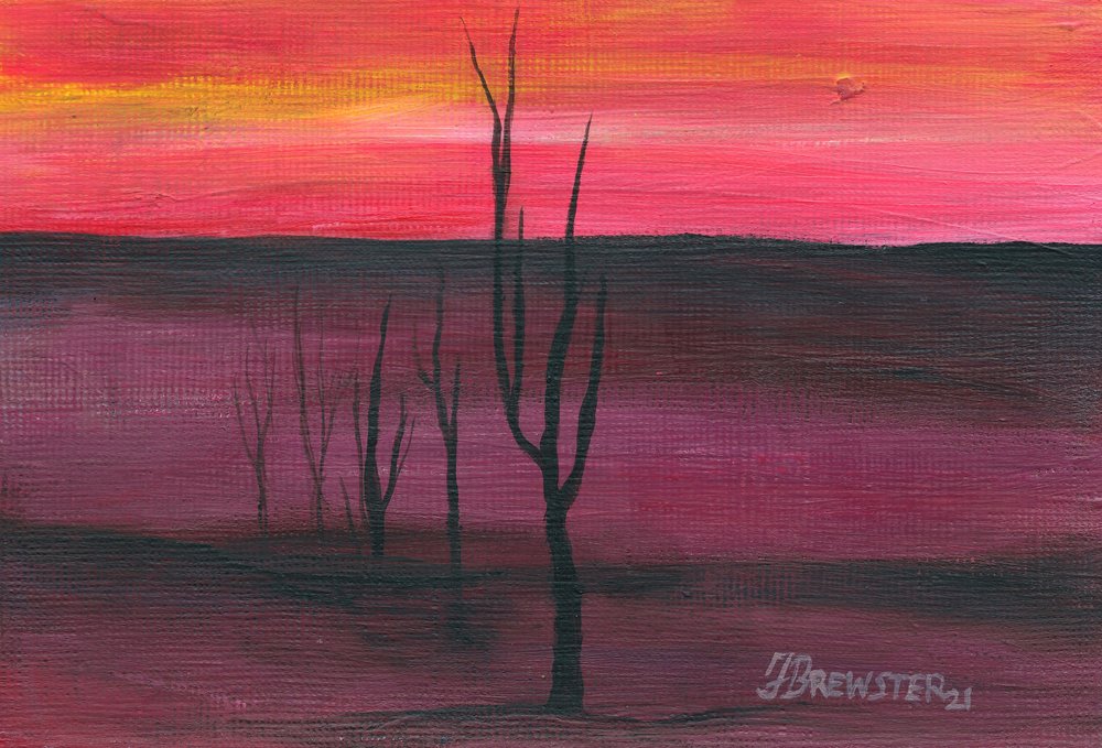 Eläväinen aavikon auringonlasku tekijältä Janine Brewster