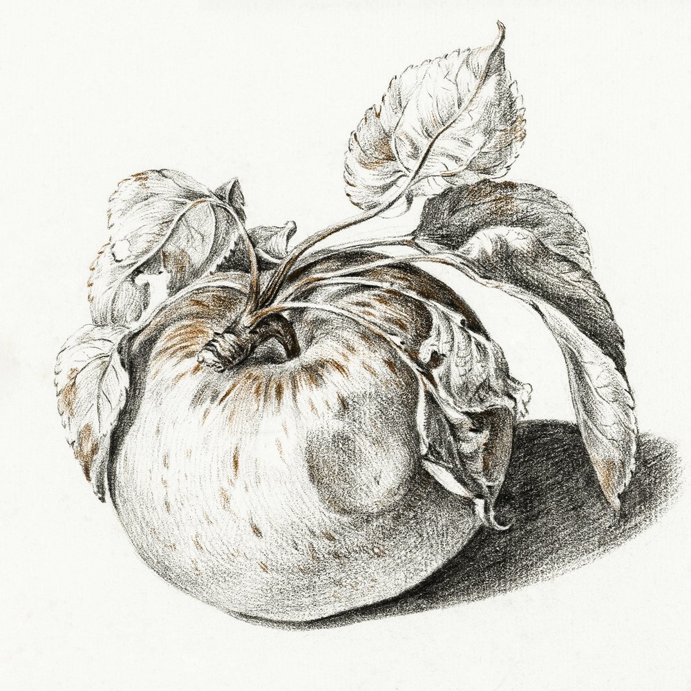 Apple tekijältä Jean Bernard