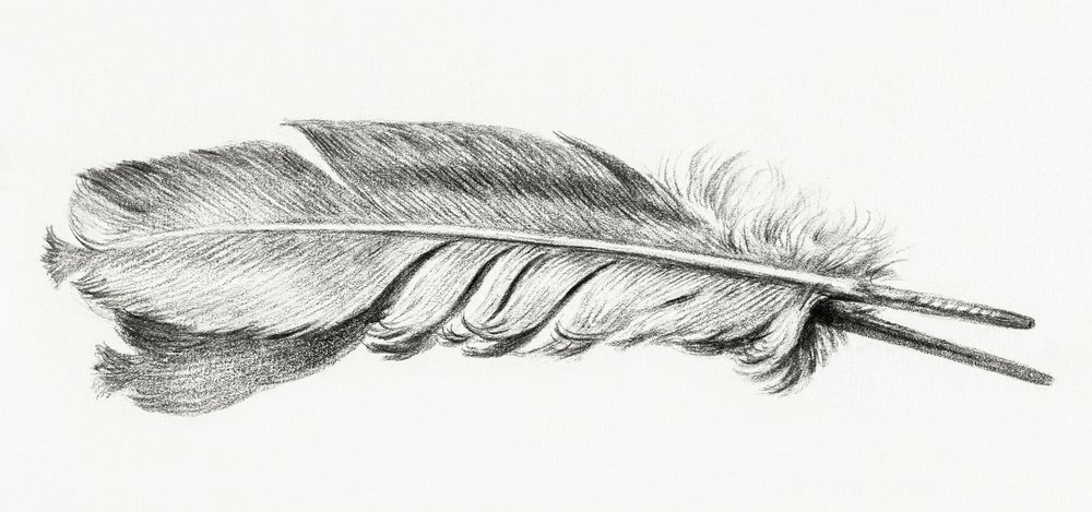 Sulk tekijältä Jean Bernard