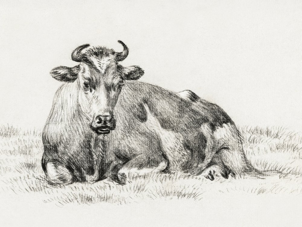 Makaava lehmä (1825) tekijältä Jean Bernard