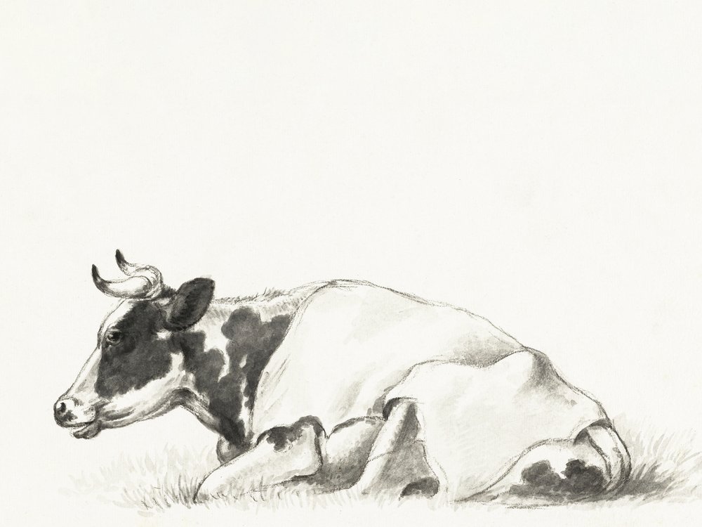 Jean Bernardin teos ”Lying Cow” tekijältä Jean Bernard