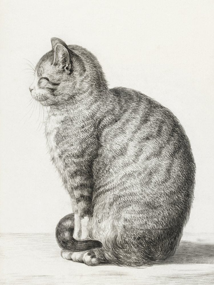 Istuva kissa (1815) tekijältä Jean Bernard