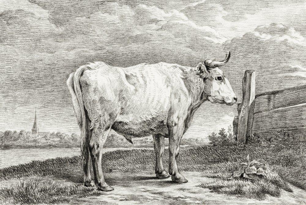 Standing Bull (1817) tekijältä Jean Bernard