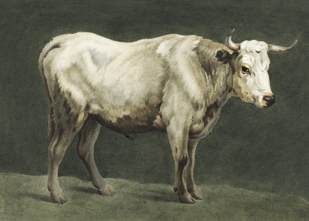 Standing Bull -maalaus tekijältä Jean Bernard