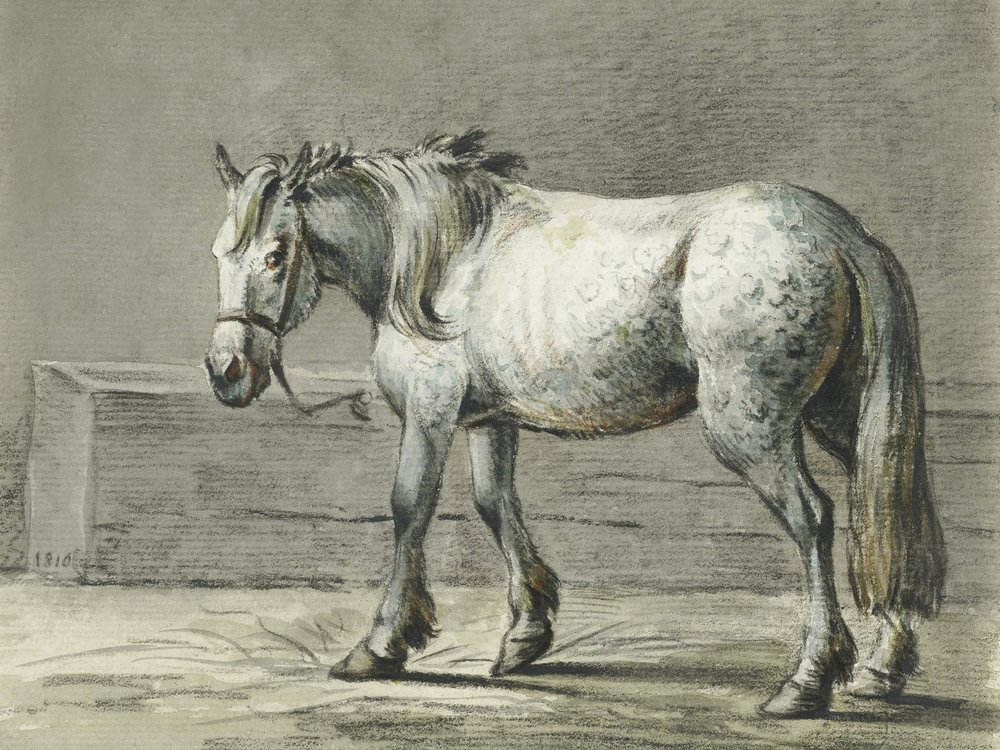 Seisova hevonen (1810–1816) Jean Bernard tekijältä Jean Bernard