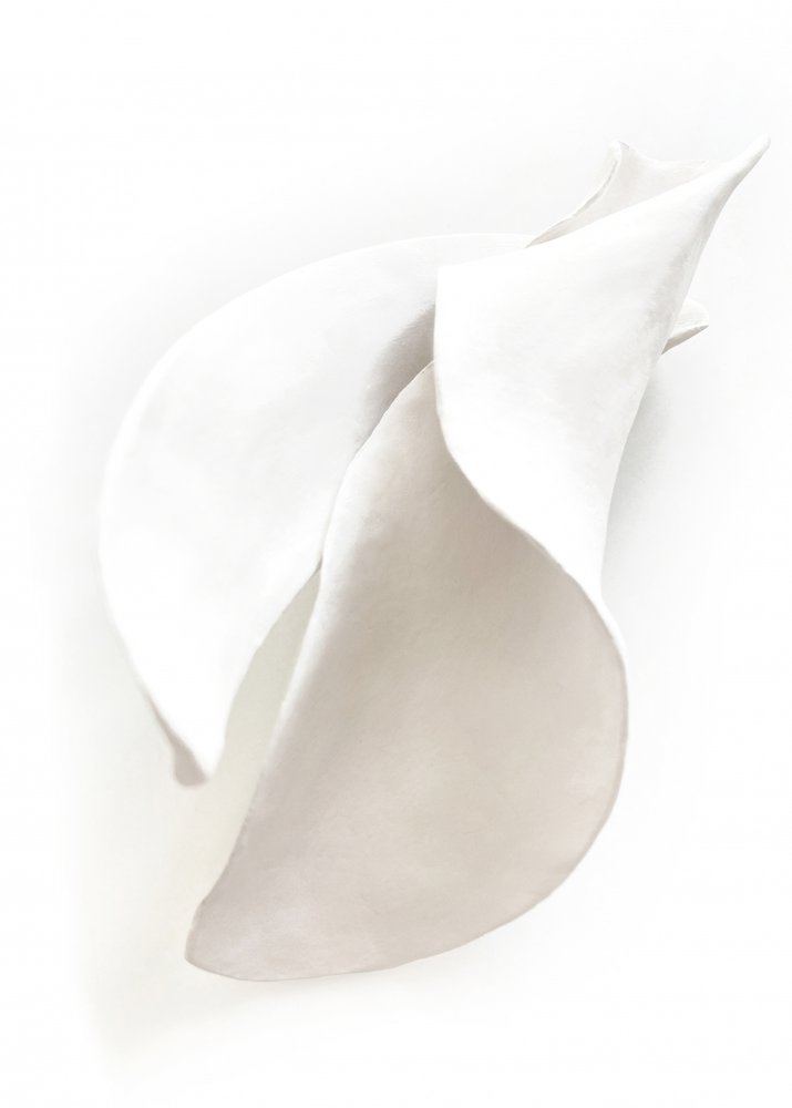  tekijältä Jenja Braun