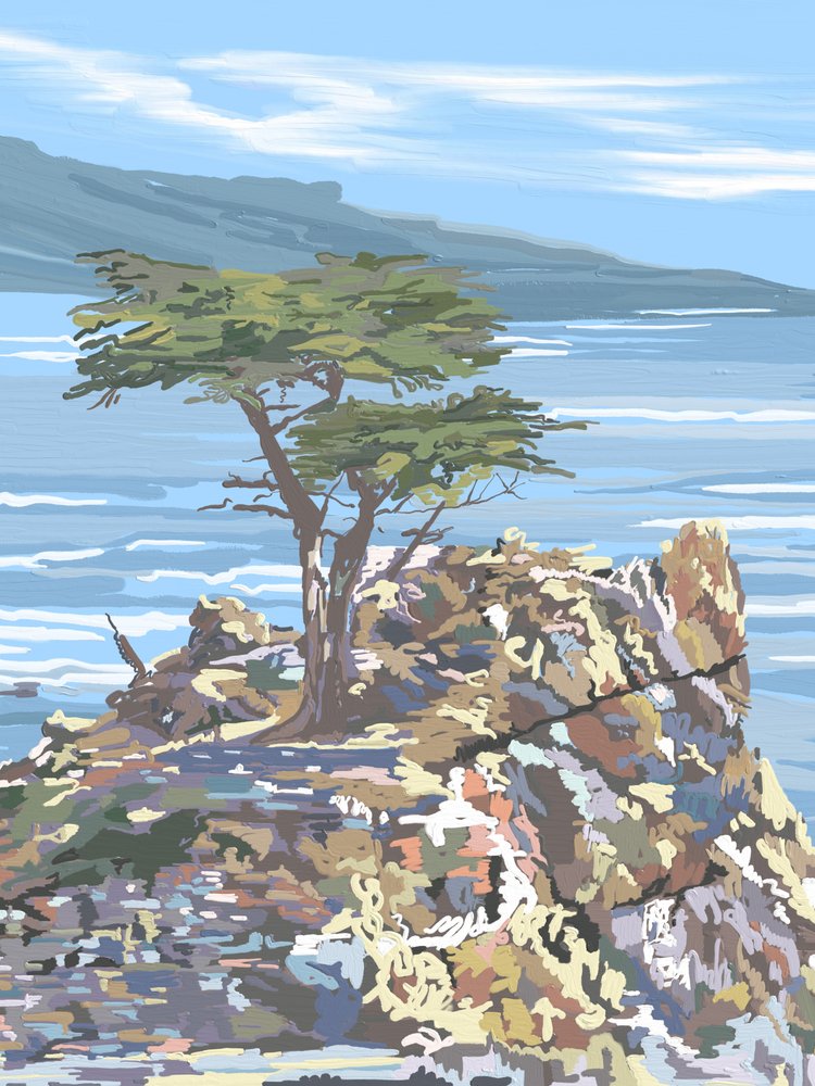 Lone Cypress -merinäköala tekijältä Jenna Alheit