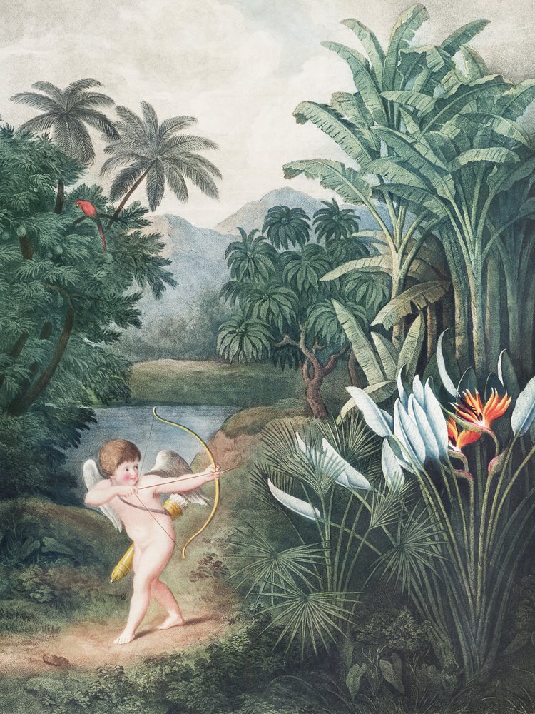 Cupido inspiroi kasveja rakkaudella – teoksesta *Flora-temppeli* (1807), kirjoittanut Robert John Thornton tekijältä John Thornton