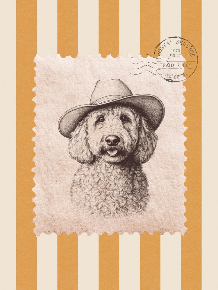 Cowboy-koiran muotokuva tekijältä Jolly and Dash