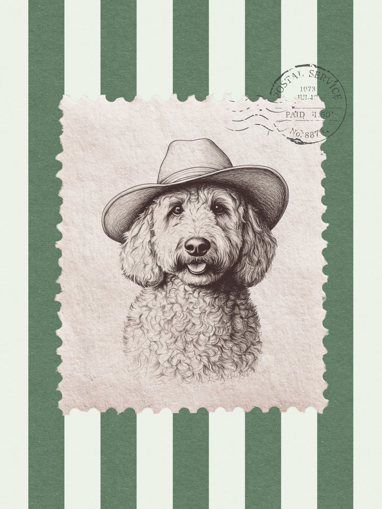 Cowboy-hattu-doodle tekijältä Jolly and Dash
