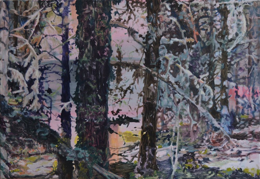 Lumottu metsän valo tekijältä Karin Bos