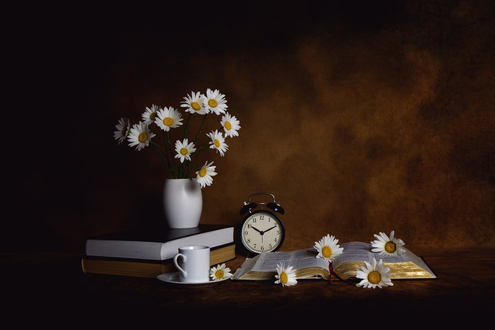 Daisies Books: Aamun rauha tekijältä Leah Xu