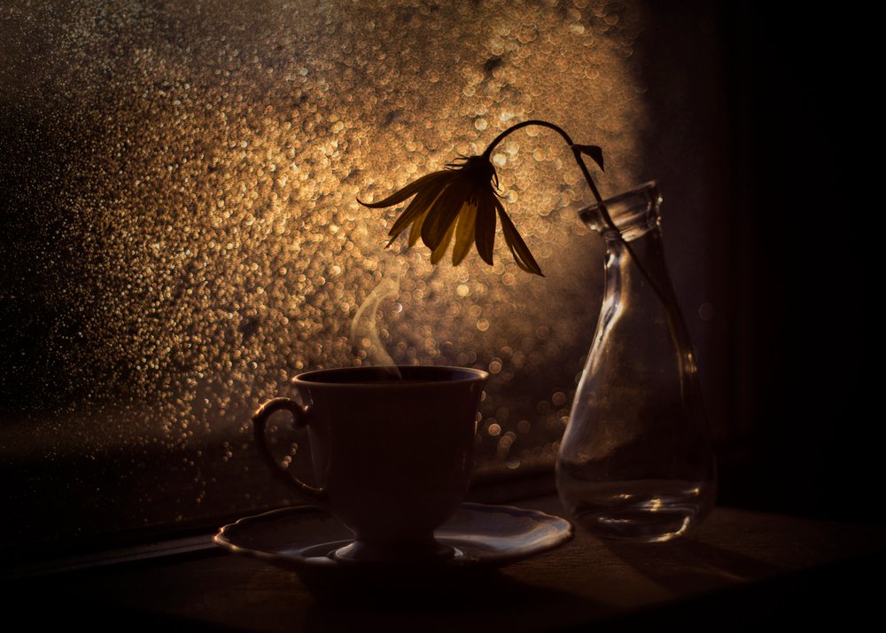Golden Light -kahvikukka tekijältä Lenka