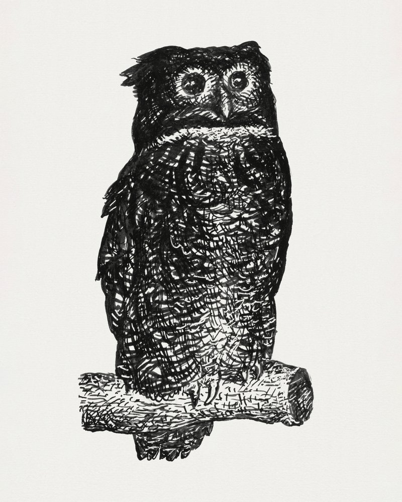 Pöllö tekijältä Leo Gestel