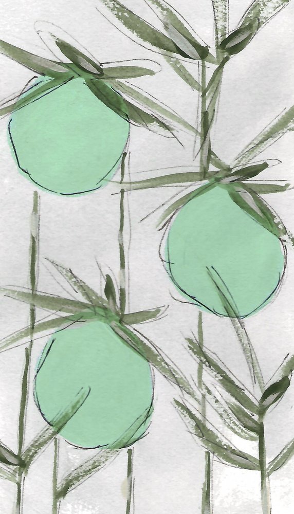 Tiivistelmä: Green Botanicals tekijältä Lori Ann Folz