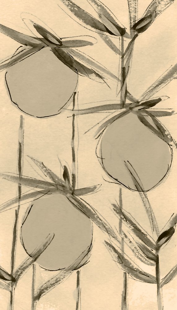 Sepia-puuvillakasvit tekijältä Lori Ann Folz
