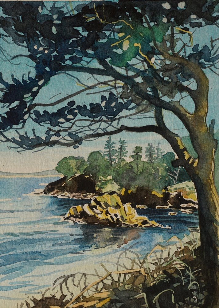 Coastal Pine Vista tekijältä Luisa Millicent