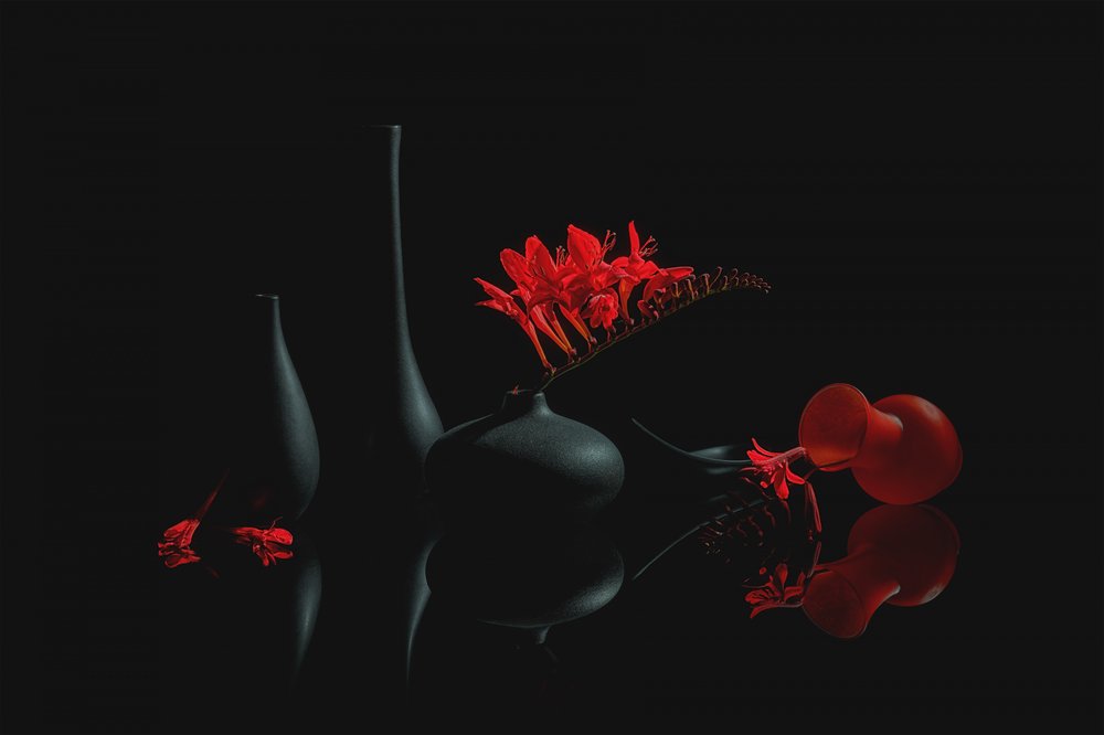 Crimson Blooms -mustat maljakot tekijältä Lydia Jacobs