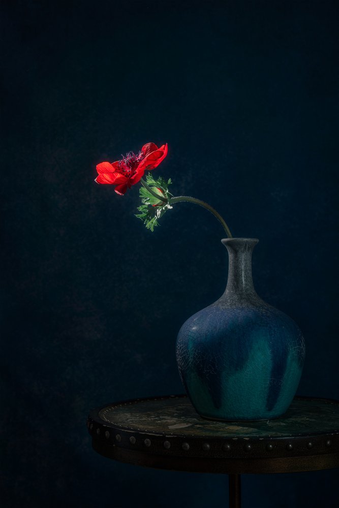 Dark Anemone -maljakko tekijältä Lydia Jacobs