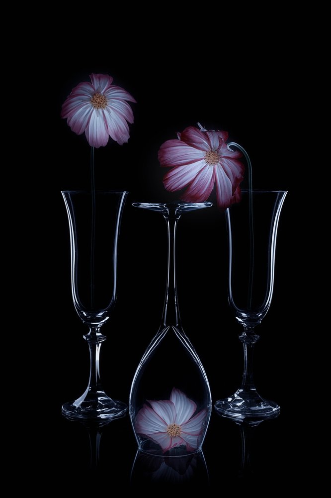 Delicate Blooms -lasikupit tekijältä Lydia Jacobs