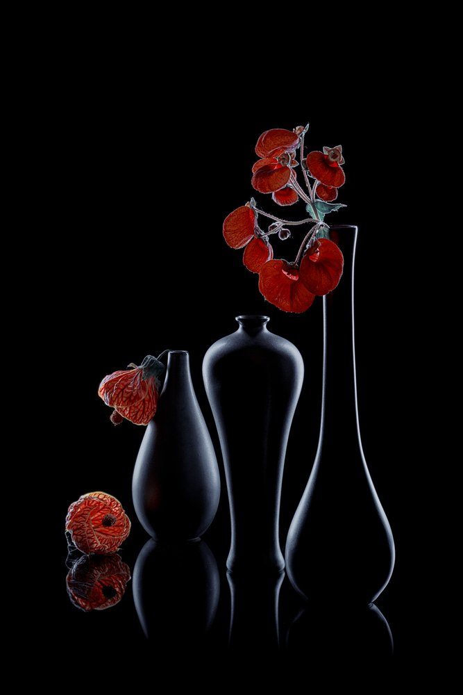 Elegantti Dark Flora tekijältä Lydia Jacobs