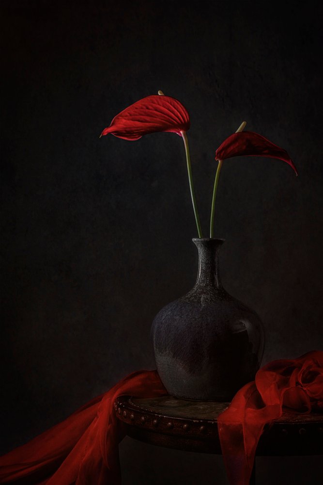 Moody Red -anthuriumit tekijältä Lydia Jacobs