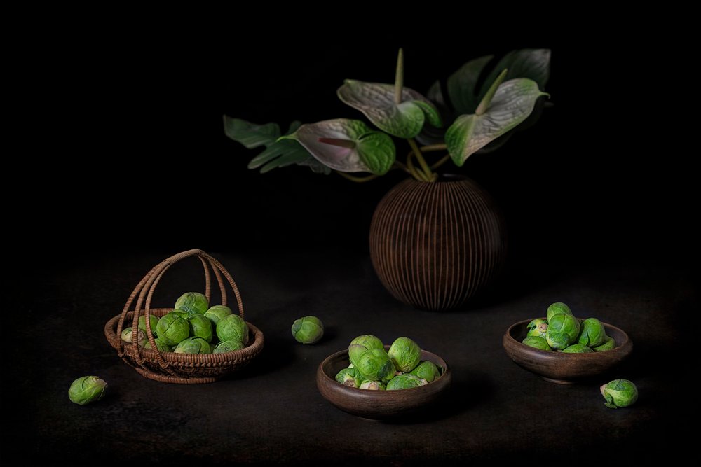 Moody Sprouts -asetelma tekijältä Lydia Jacobs