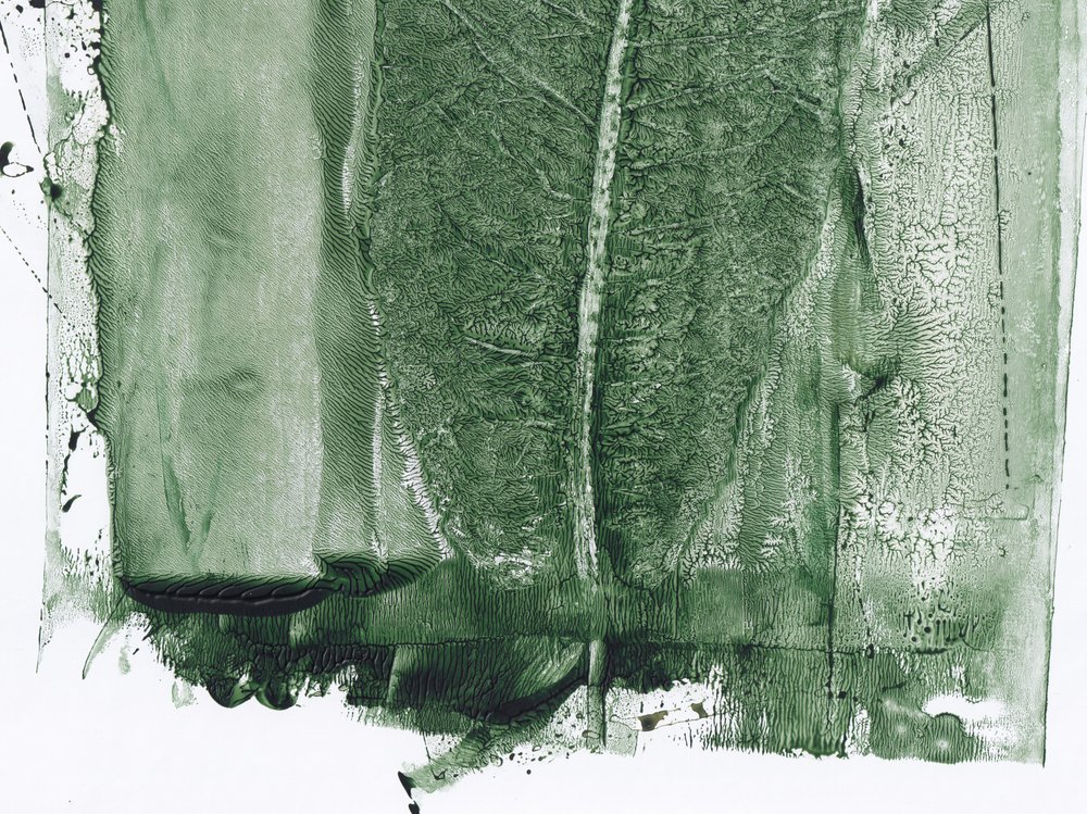Tiivistelmä: Vihreä metsä tekijältä Maira Ribena