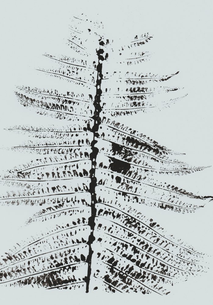 Black Ink Fern tekijältä Maira Ribena
