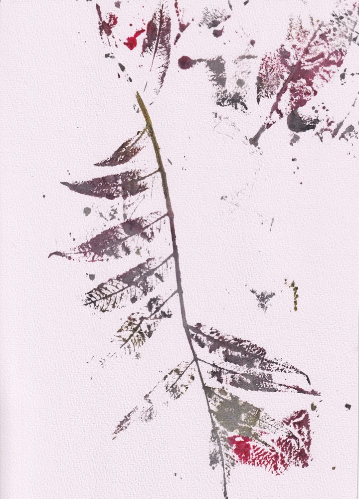 Dark Leaf -vaikutelmia tekijältä Maira Ribena