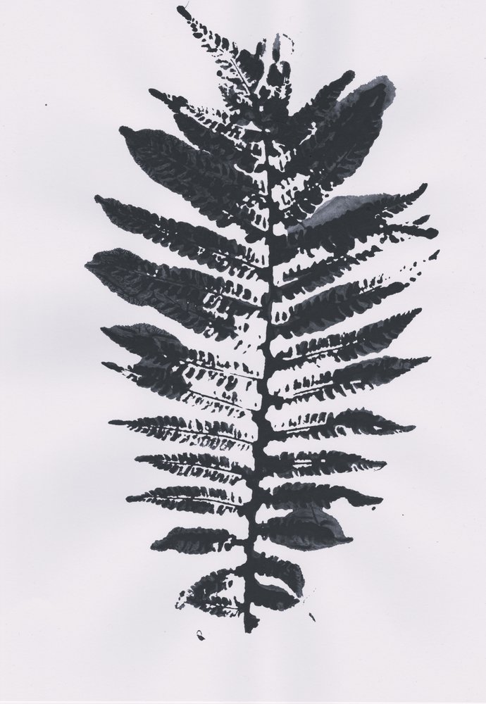 Elegant Fern Leaf tekijältä Maira Ribena