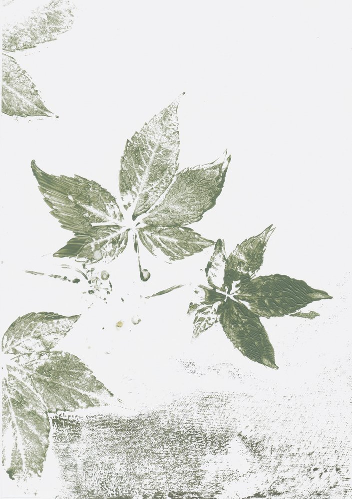 Green Leaf -vaikutelmia tekijältä Maira Ribena