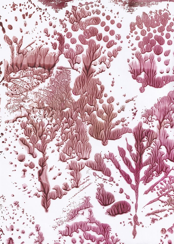 Orgaaninen Maroon Flow tekijältä Maira Ribena