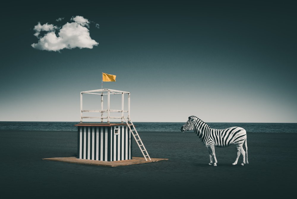 Surreal Beach Zebra tekijältä Marcus Hennen