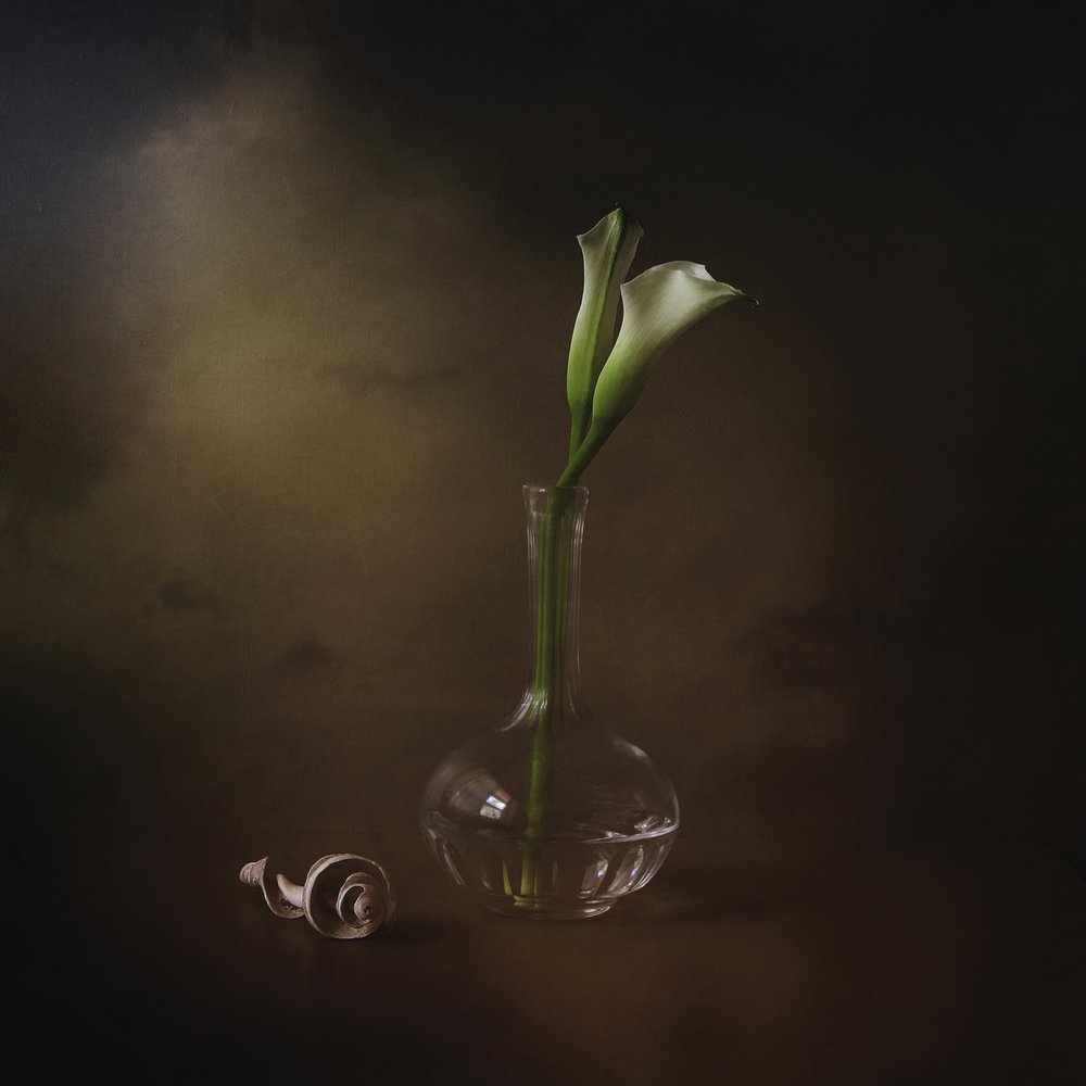 Elegantit calla-liljat tekijältä Margaret Halaby