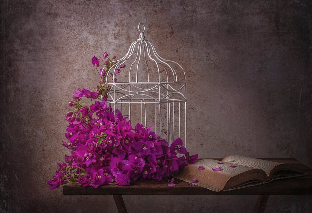 Maalaishenkinen bougainvillea ja kirja tekijältä Margareth Perfoncio