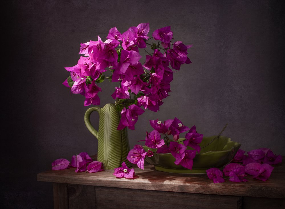 Eläväinen bougainvillea-asetelma tekijältä Margareth Perfoncio