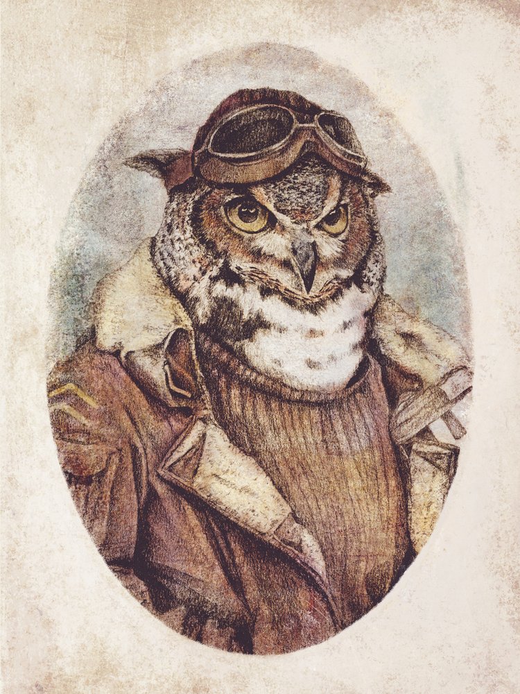  tekijältä Mike Koubou