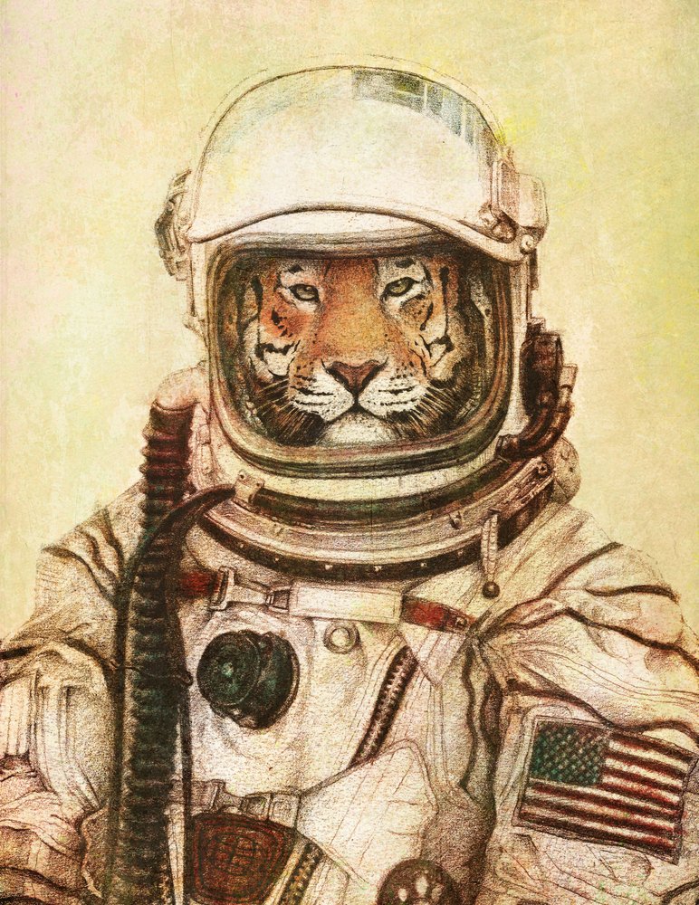  tekijältä Mike Koubou