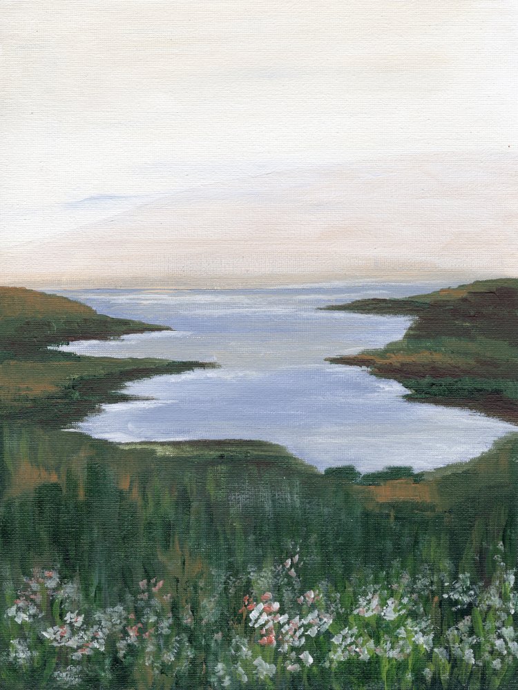 Näkymä Wildflower Coastille tekijältä Nikita Jariwala